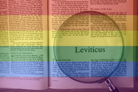 El levítico 18:22 no condena la diversidad sexual.