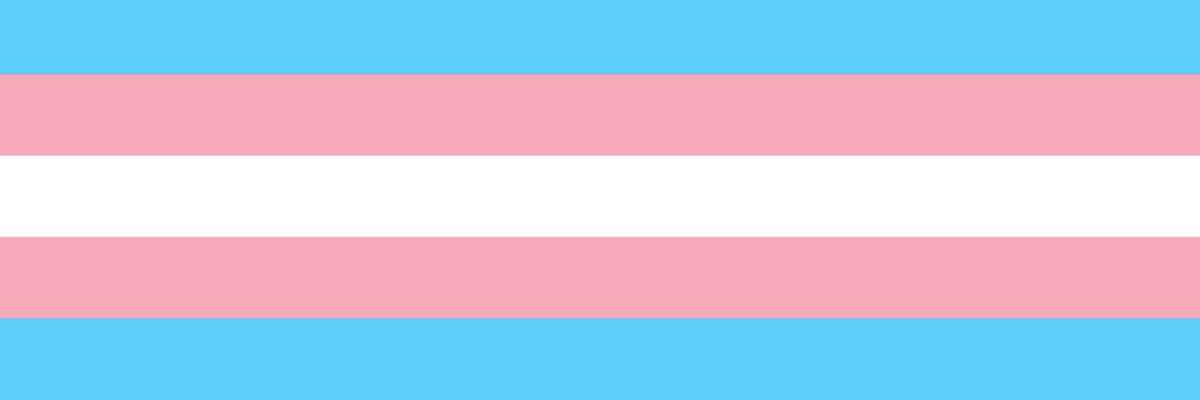 Image of the transgender flag, composed of 5 stripes, the central one in white, followed by two pink and two blue stripes.