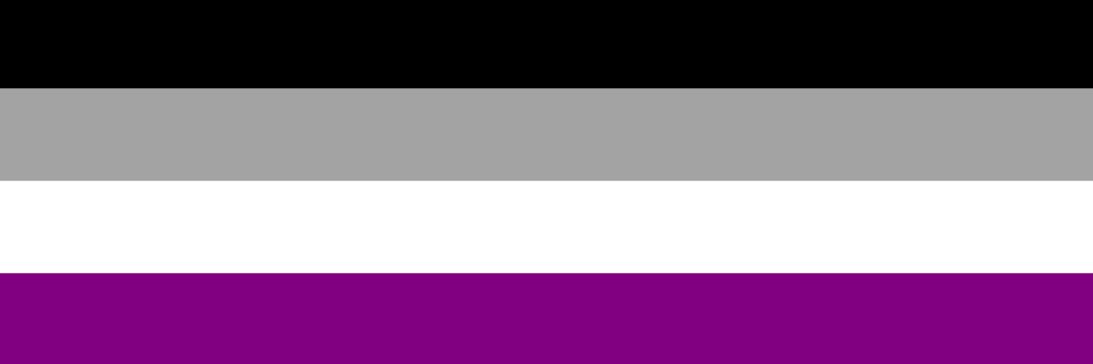 Image of the asexual flag composed of 4 stripes of black, gray, white and purple.