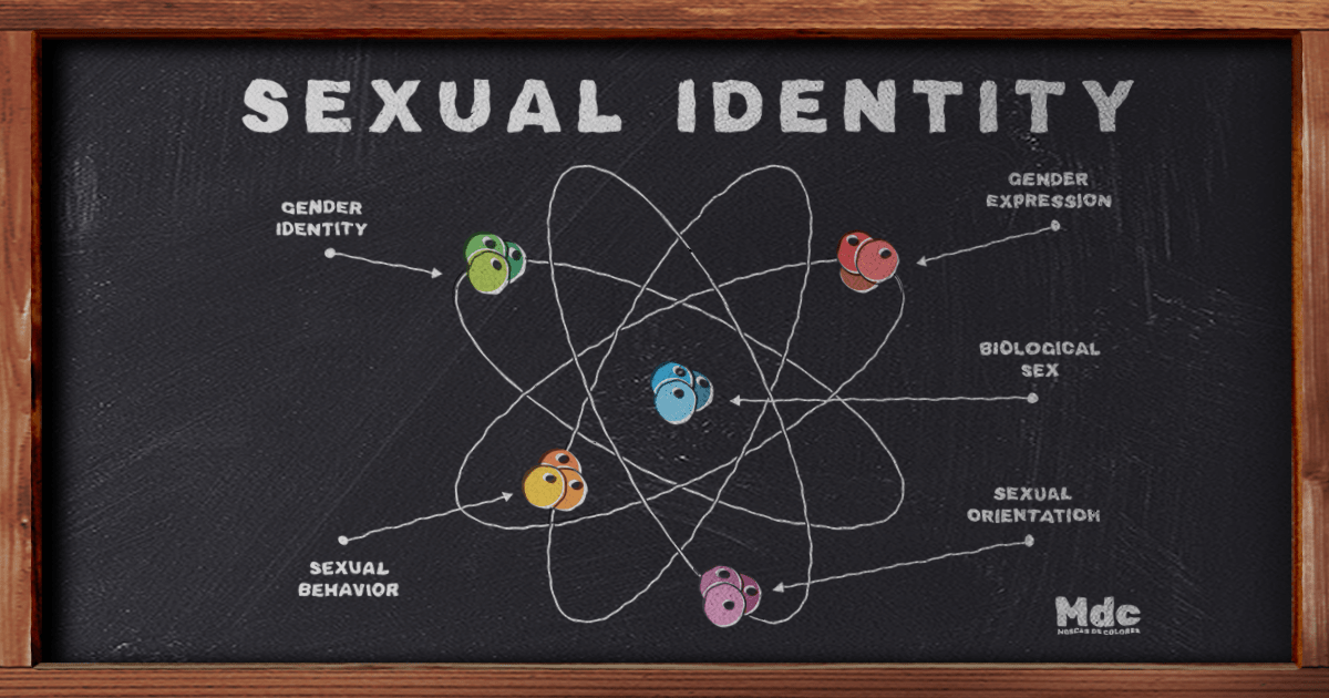 Scheme of the components of sexual identity, represented as if it were an atom. Drawn in chalk on a blackboard.